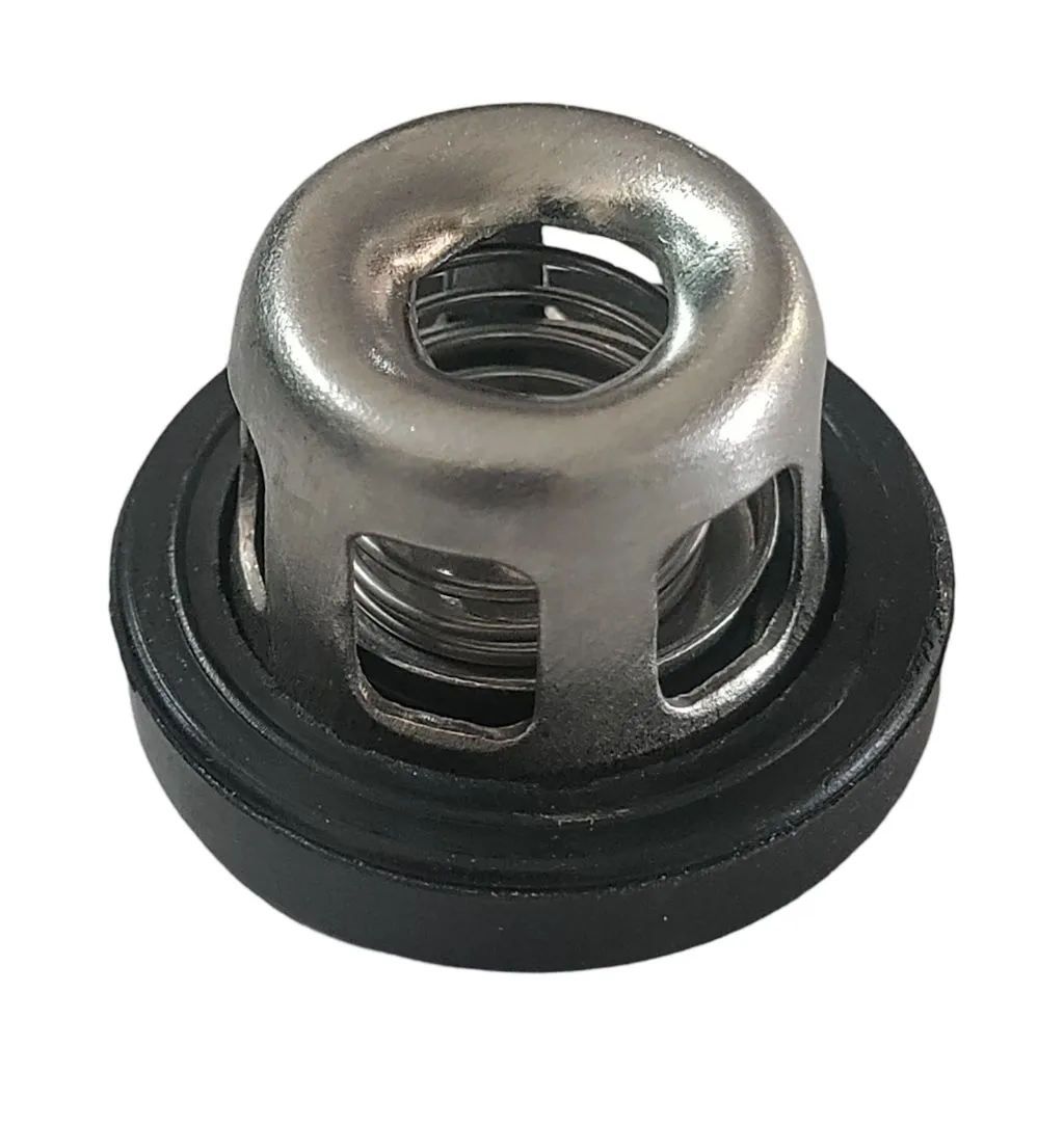 Spring Valve