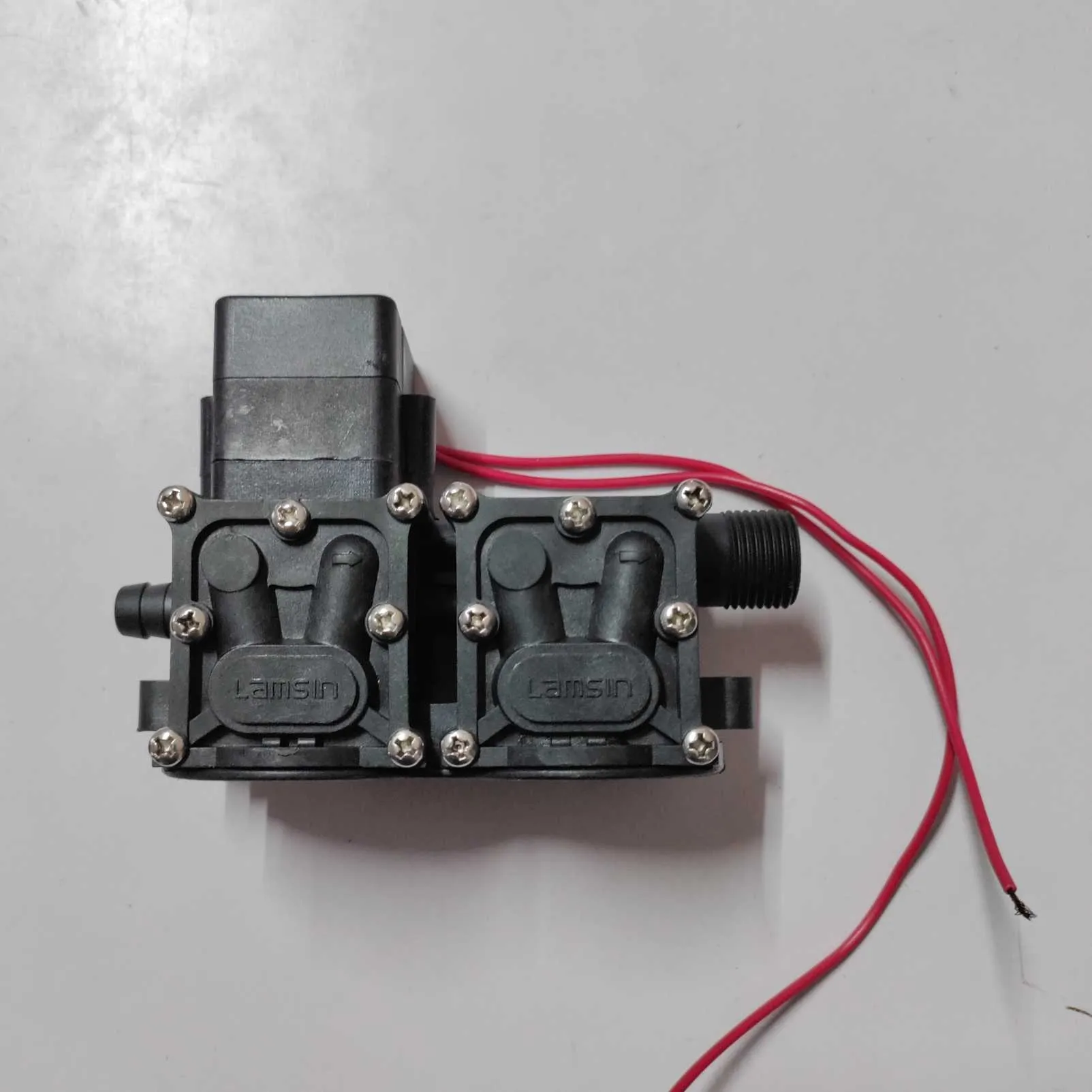 Spray Pump Double Motor Assembly