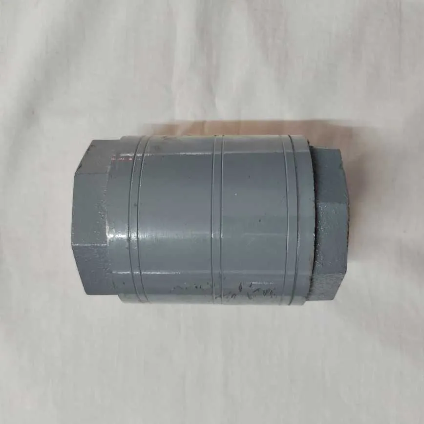 Preview Image 2 CI Check Valve 2 Inch