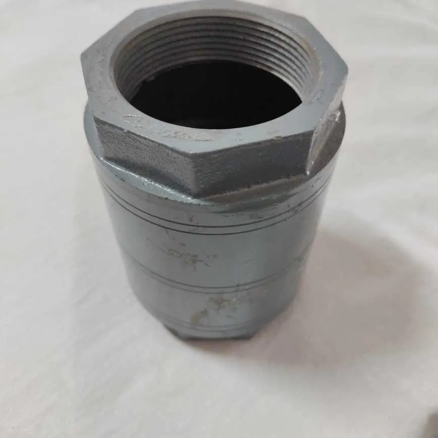 Preview Image 3 CI Check Valve 2 Inch