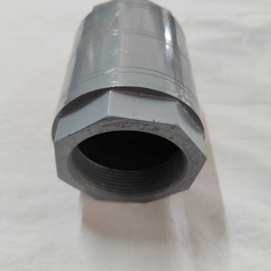 Preview Image 4 CI Check Valve 2 Inch