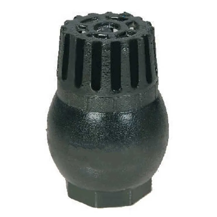 CI Foot Valve 2.5 Inch Spring