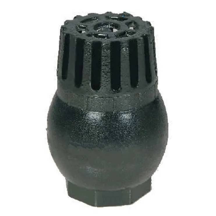 Preview Image 1 CI Foot Valve 3 Inch Spring