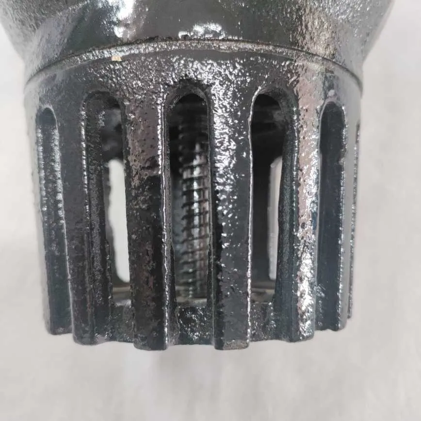 Preview Image 3 CI Foot Valve 3 Inch Spring