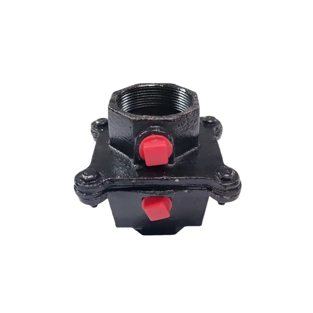 Preview Image 2 CI Check Valve 2 Inch Bansi