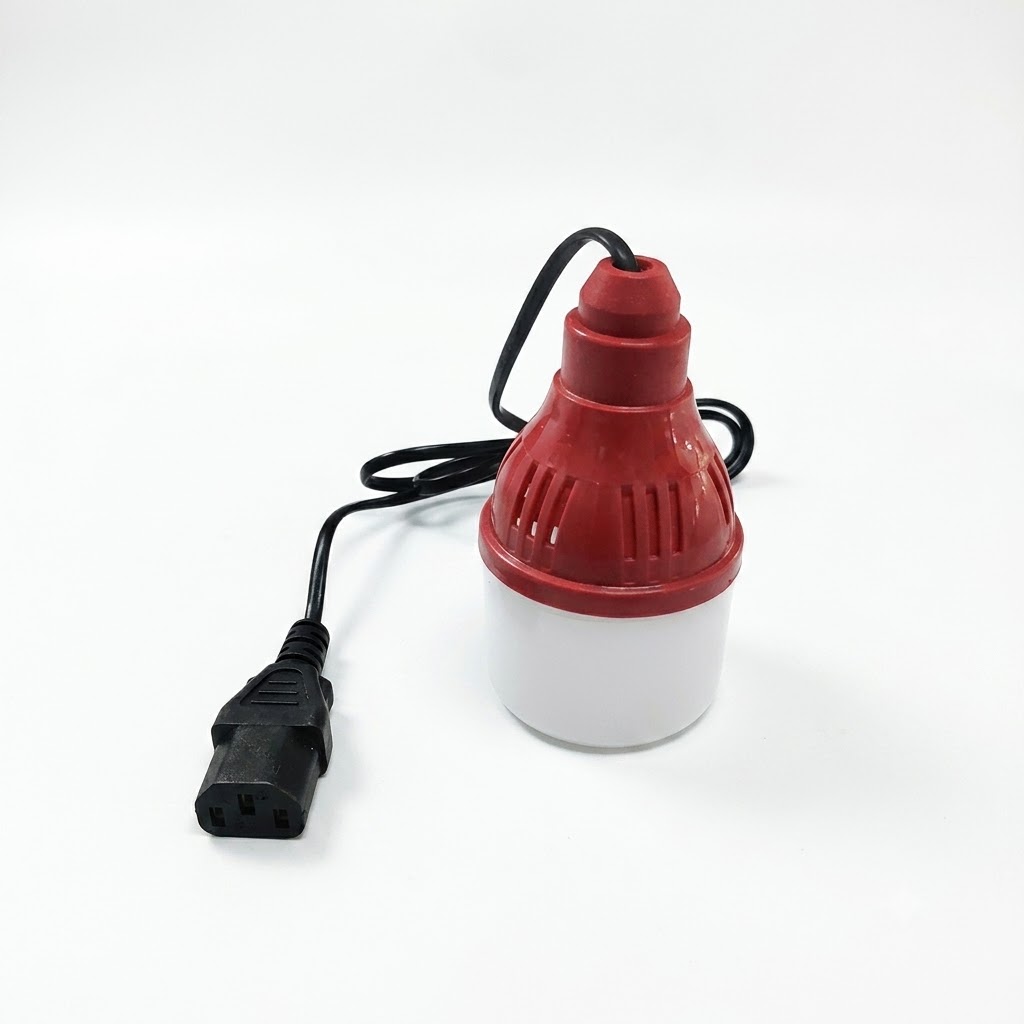 7W DC LED Bulb